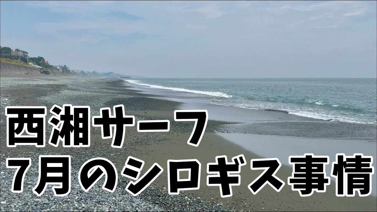 西湘サーフでシロギス　手前でも釣れ始めたよ！ No.76
