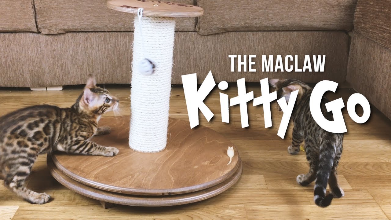 the maclaw cat wheel