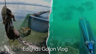 TICTABON ISLAND part 2 SPEARFISHING Episode 8