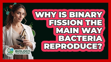 Why Is Binary Fission The Main Way Bacteria Reproduce? - Biology For Everyone