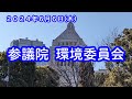 【国会中継録画】参議院 環境委員会(2024/06/06)