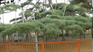 モリオのオッサン ・ 滋賀県 「唐崎神社」 ・ 2014/10/11