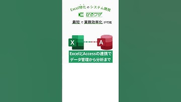 『せるワザ』ExcelとAccessを活用した効率的なシステム開発サービス