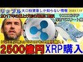 リップル（XRP)2500億円分をクジラが3日で購入！大口投資家だけが情報を知っている⁉2017年と同じ爆上げが今年クル⁉10000XRPを持っていればエリート層になれる！