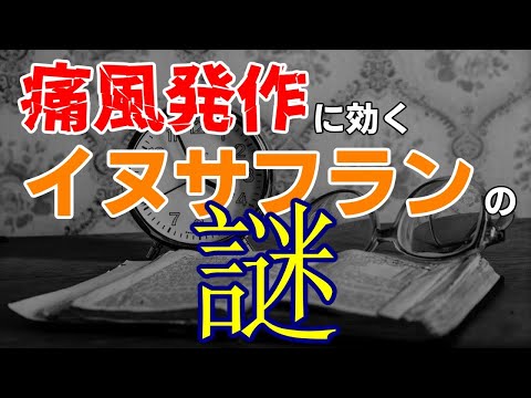 痛風とコルヒチンの話【ゆっくり解説】