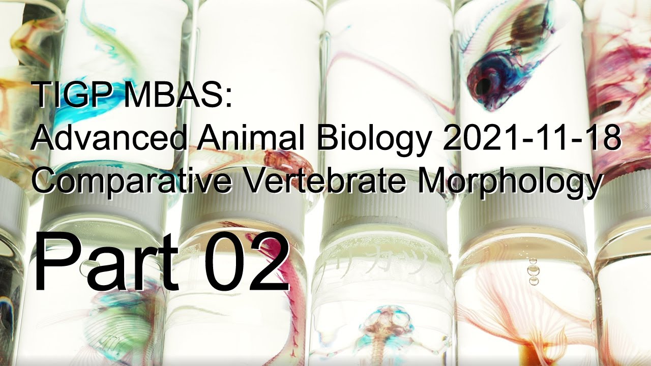 TIGP MBAS Advanced Animal Biology, Comparative Vertebrate Morphology Part02