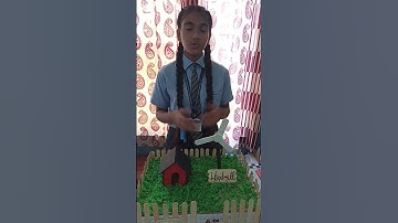 Windmill Working Model