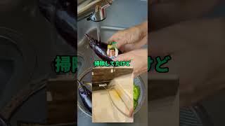 熊撃退スプレー買ったけど威力ヤバくて草#shorts  #おもしろ