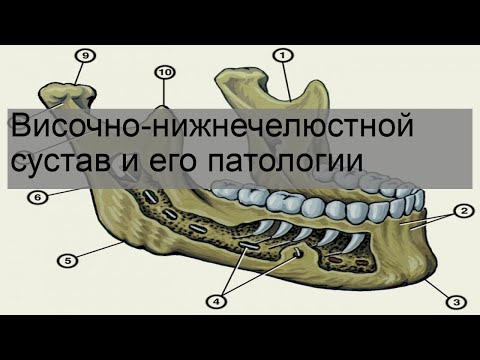 Височно-нижнечелюстной сустав и его патологии