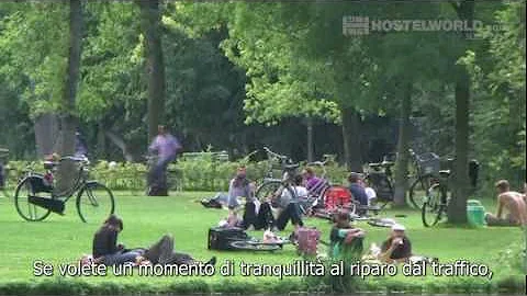 Come è divisa Amsterdam?