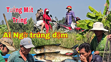 Chú 2 ô " Thu Hoạch Cá Mè Hoa Trên Nền Đất Ruộng, Tưởng Trắng Tay Ai Ngờ Trúng Đậm 