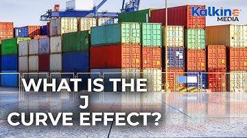 What is the J curve effect?