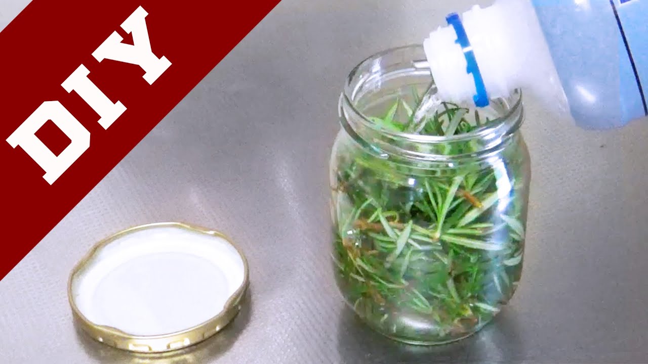 簡単diy 好きな植物で手軽に香水を作ろう ローズマリーの香水 Youtube