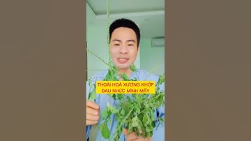 Công dụng cây ngưu tất nam #shorts #thanhdongvlog