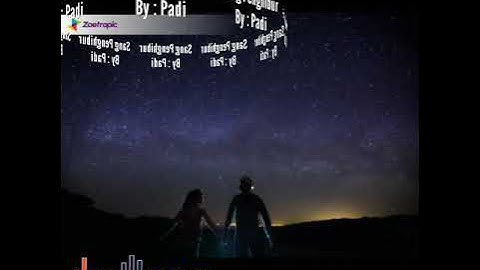 Padi : Sang Penghibur