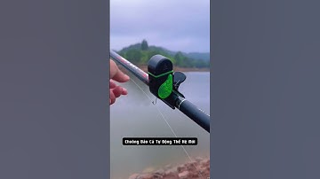 Chuông Báo Cá Tự Động Thế Hệ Mới