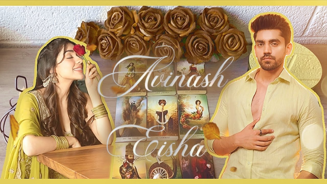 Avisha Tarot Reading | Avinash & Eisha current energies towards each other 🍂✨