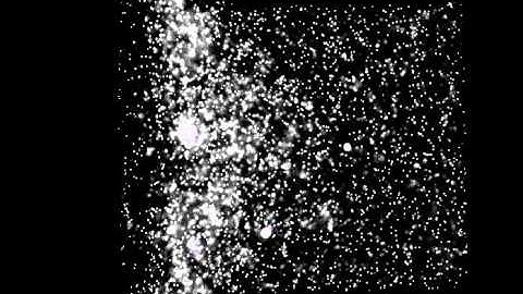 bacterial Chemotaxis