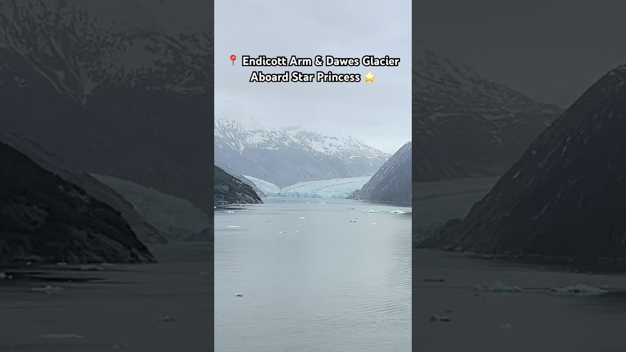 Endicott Arm & Dawes Glacier aboard Star Princess in Alaska ⭐️ 🧊