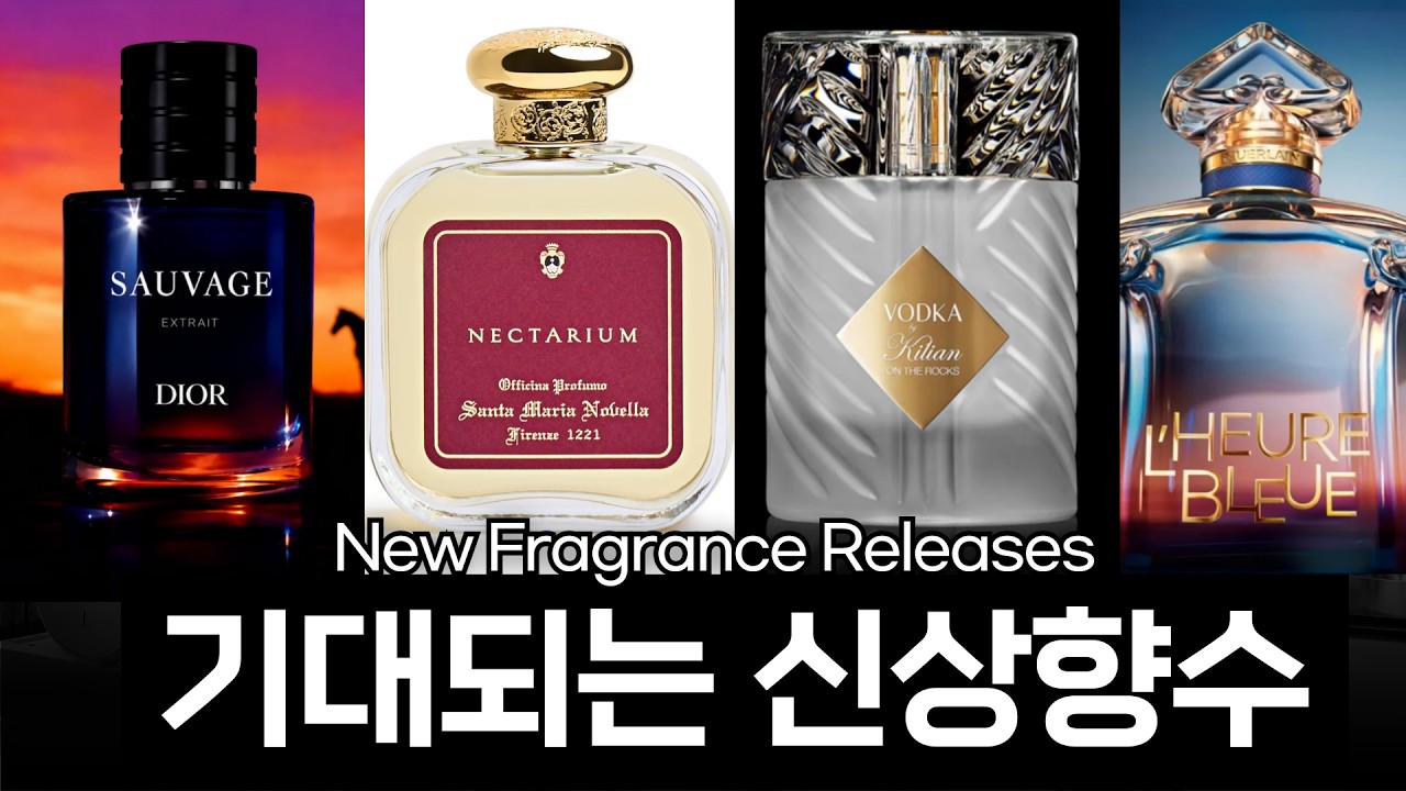 기대되는 신상 향수 vs 별로일 것 같은 향수 | 디올·겔랑·킬리안·산마노