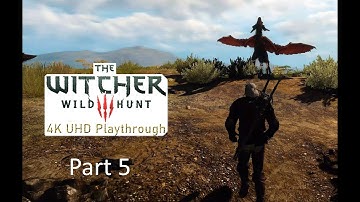 The Witcher 3 Wild Hunt in 4K UHD Playthrough Raw Footage Part 5