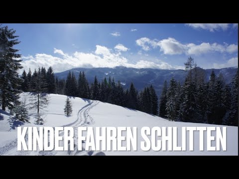 Kinder fahren Schlitten! 🛷