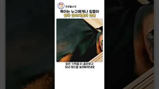 2026년 6월 19일
