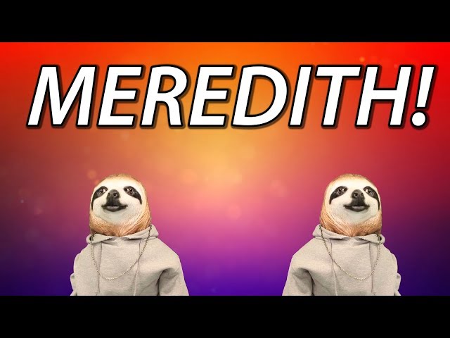 HAPPY BIRTHDAY MEREDITH! - SLOTH HAPPY BIRTHDAY RAP