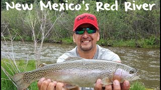 Trout Fishing New Mexico's Red River screenshot 2