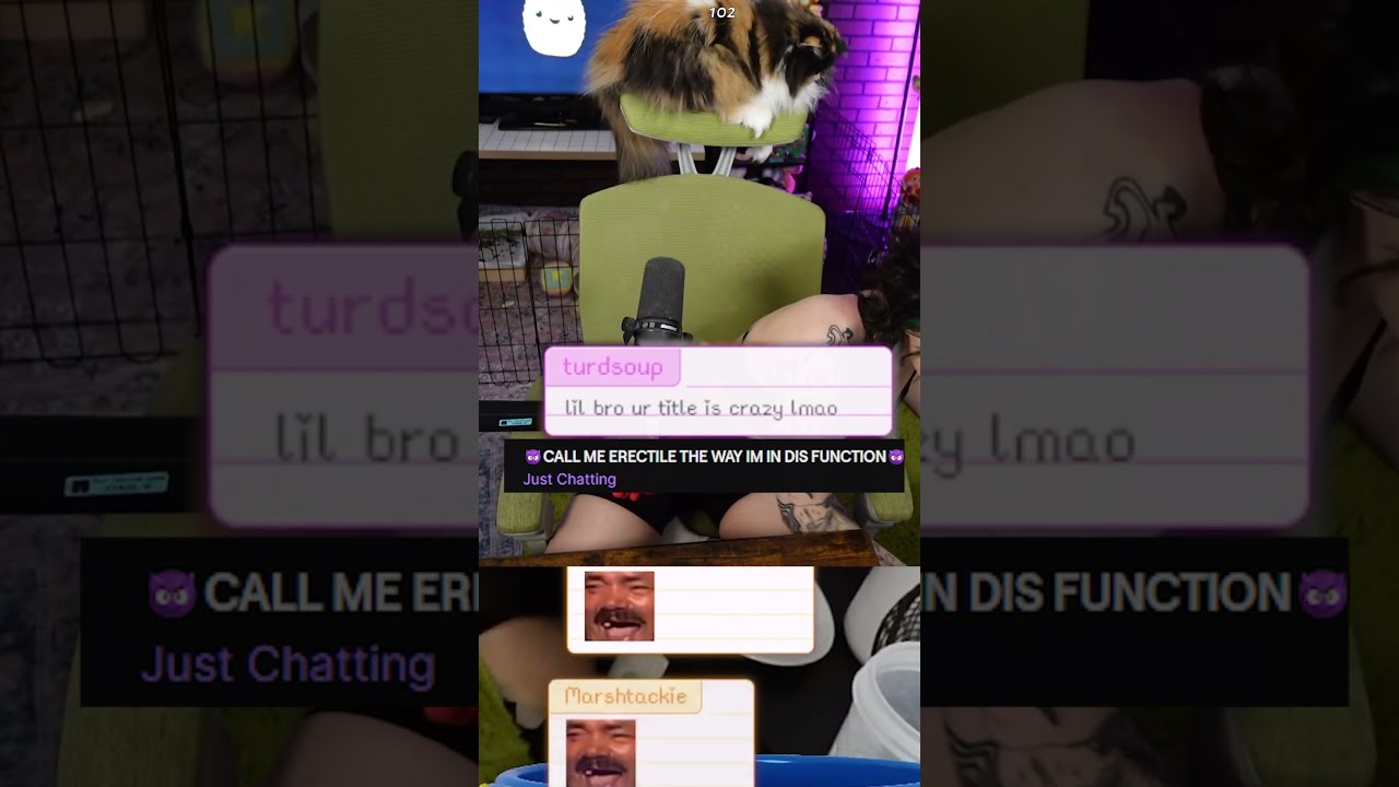 he said THIS about my stream