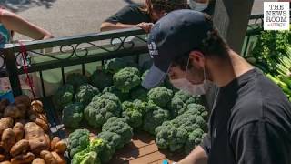 Food Security Initiative aims to help eliminate hunger on campus and bring fresh produce at low cost