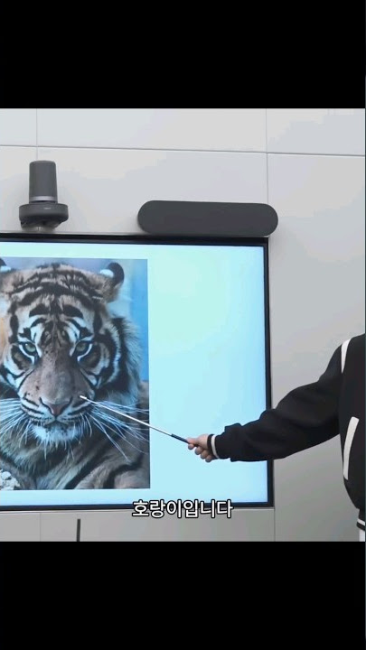 Seungkwan is sick of hoshi