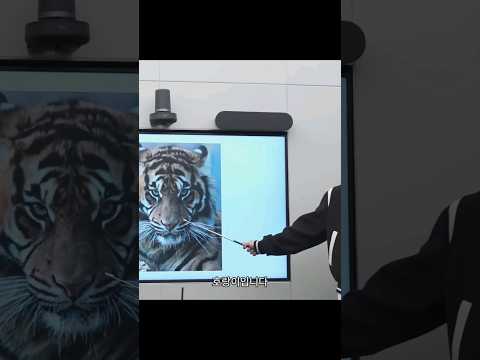 Seungkwan Is Sick Of Hoshi Tiger Seventeen BSS Chaotic Hoshi Dk Seungkwan