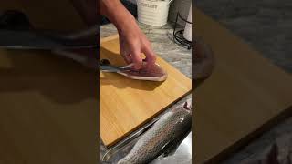 ☆How to fillet trout☆ #shorts