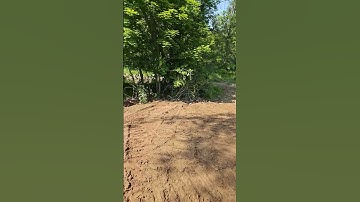 Smoothing out the grade for the new driveway entrance. #build #construction #home #skidsteer #shorts