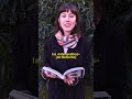 LA ARQUEOLOGÍA DEL SABER - Taller de filosofía (agosto)