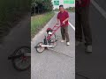 🌿⚙️ Wide-Path Vegetation Cutter for Large-Area Maintenance