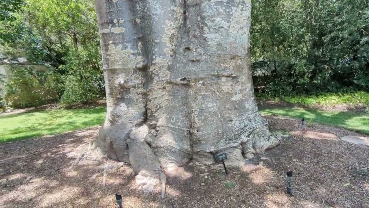 Review of Fairchild Tropical Botanical Garden for my enc1102 project.