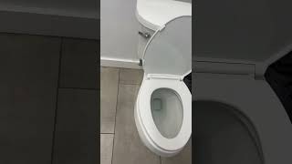 Kohler Kingston toilet on tank