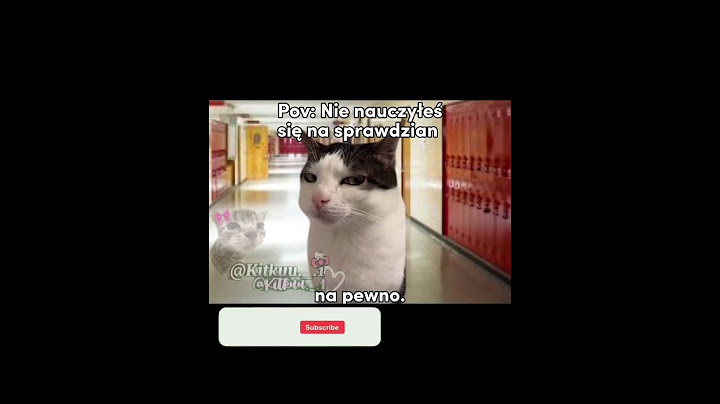 Nie nauczyłeś się na sprawdzian 😂 #cats #śmieszne#greenscreen #cat #trend#memes#funny#memy #catmeme