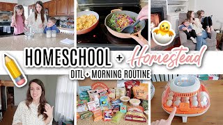 DITL of a Homeschooling + Homesteading  Mom of 3 \/\/ Homeschool Morning Routine