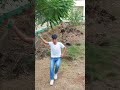 Dancing 1 #shorts