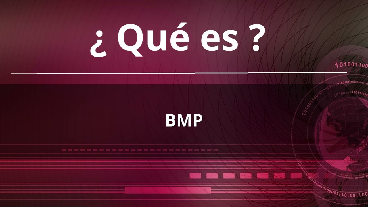 . Que es BMP ?