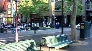 Spring Cycle 2011 - Macquarie St past the 99 percent protest