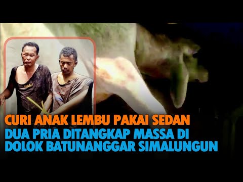 Anak Lembu