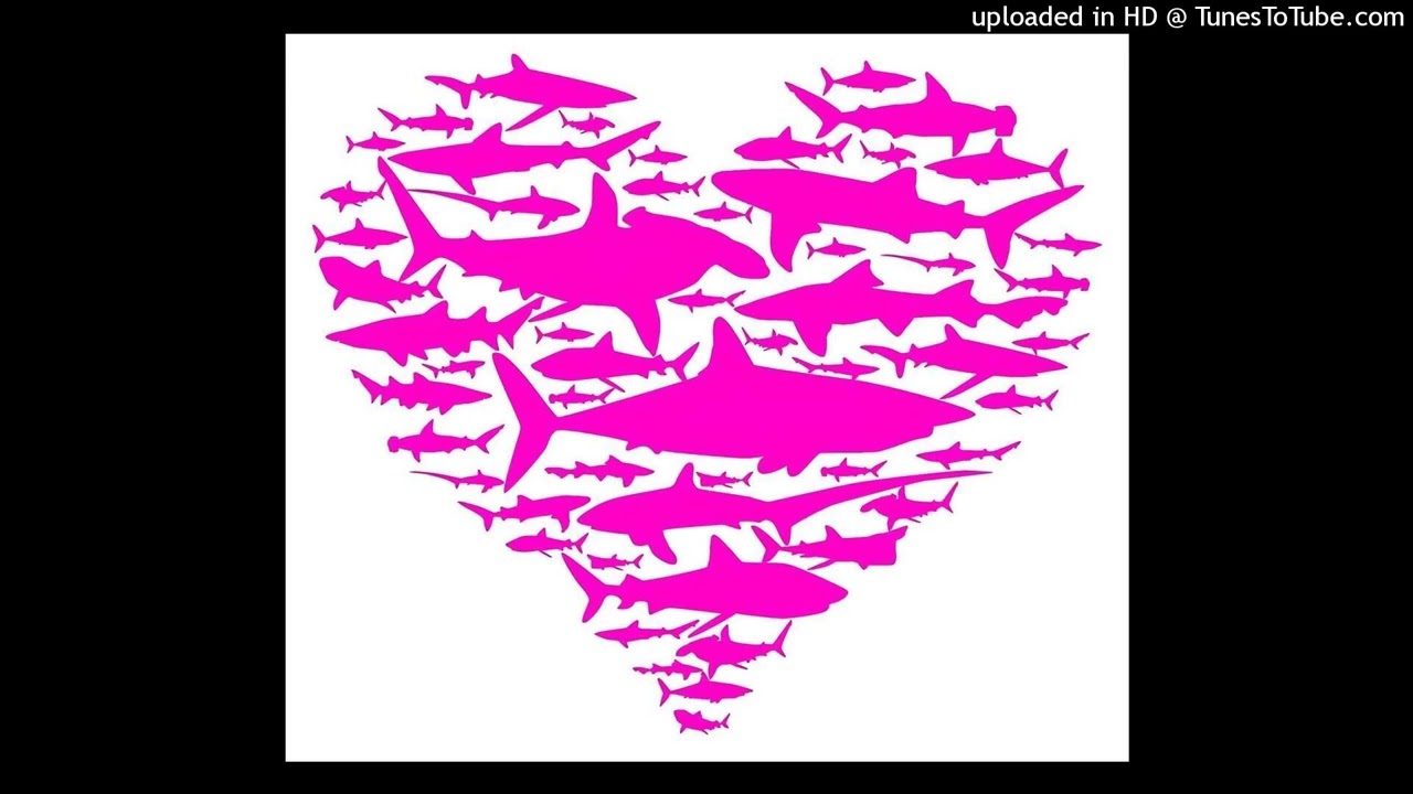 shark wave type beat w @d1sgrace