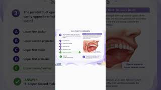 #mbbs#salivaryglands#anatomy#firstyear#secondyearModular system.mdcat.Proff.histology .exam.embryo