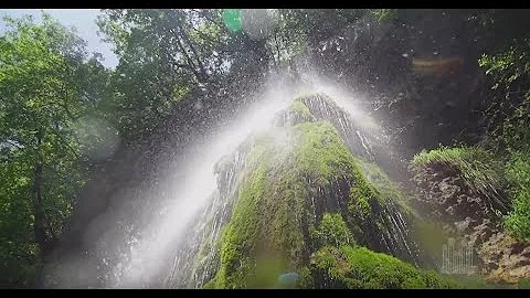 July 31, 2016 - Music & The Spoken Word