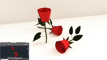 Rose Tutorial | AutoCad