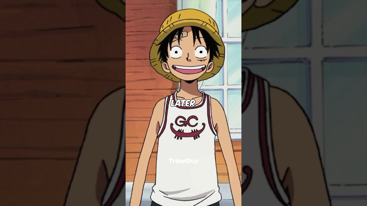 Top 3 Worst Scoldings From Nami To Luffy 